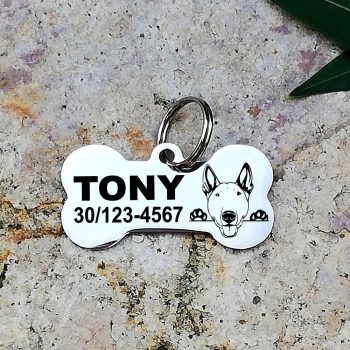 Angol Bullterrier nemesacél kutyabiléta 40x22mm