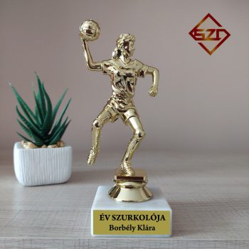 Kézilabdázó serleg - Év szurkolója