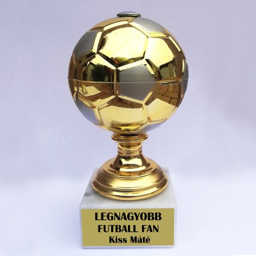 Focilabda - Legnagyobb futball fan