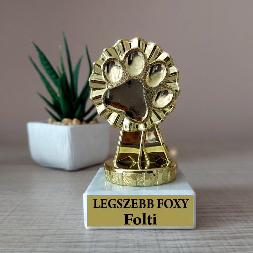 Tappancs serleg - Legszebb foxy