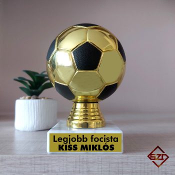 Serleg - focilabda - Legjobb focista