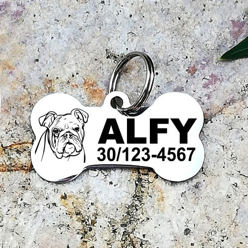 Angol Bulldog nemesacél kutyabiléta 40x22mm