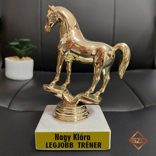 Ló trófea - Legjobb tréner