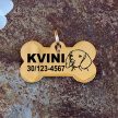 Vizsla gravírozott nemesacél kutyabiléta 40×22 mm