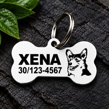 Welsh Corgi gravírozott nemesacél kutyabiléta 40×22 mm