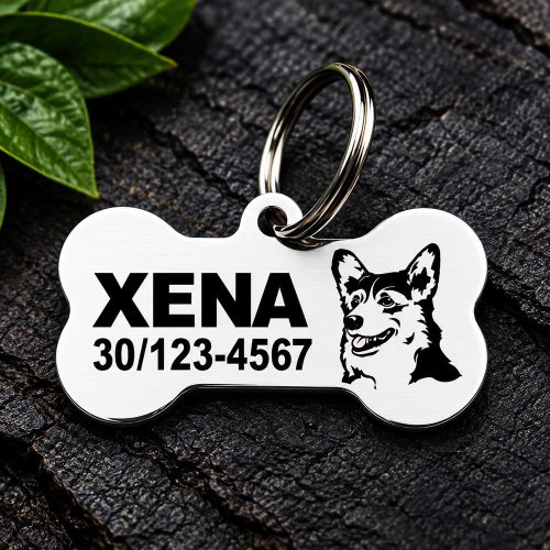 Welsh Corgi gravírozott nemesacél kutyabiléta 40×22 mm