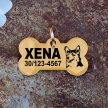 Welsh Corgi gravírozott nemesacél kutyabiléta 40×22 mm