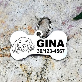 Angol Szetter nemesacél kutyabiléta 40x22mm