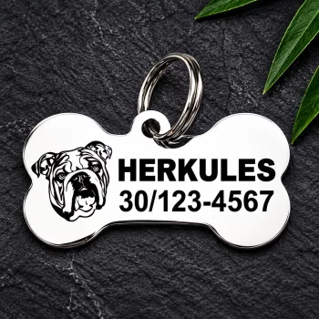 Amerikai bulldog gravírozott nemesacél kutyabiléta 40×22 mm