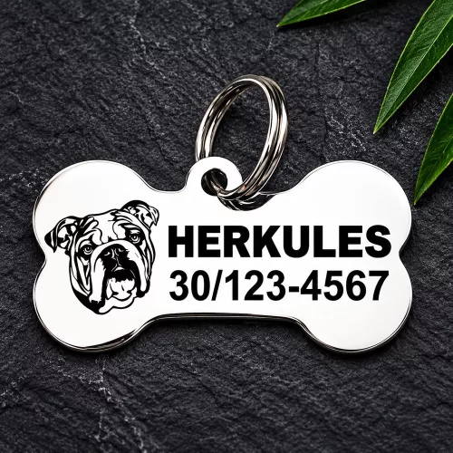Amerikai bulldog gravírozott nemesacél kutyabiléta 40×22 mm