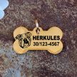 Amerikai Bulldog nemesacél kutyabiléta 40x22mm