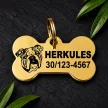 Amerikai bulldog kutyabiléta arany színben