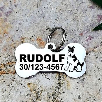 Foxterrier nemesacél kutyabiléta 40x22mm