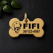 Golden Retriever kutyabiléta névvel és telefonszámmal