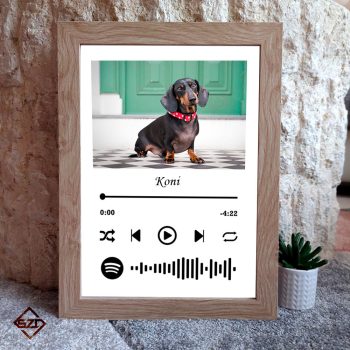 Zenekódos kép - kiskedvenc